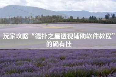 玩家攻略“德扑之星透视辅助软件教程	”的确有挂