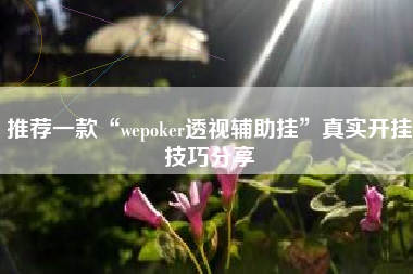 推荐一款“wepoker透视辅助挂	”真实开挂技巧分享