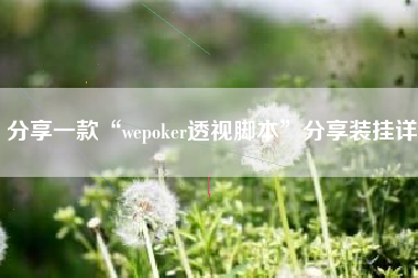 分享一款“wepoker透视脚本”分享装挂详