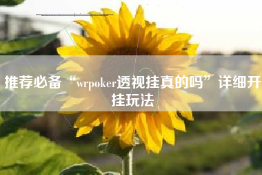 推荐必备“wrpoker透视挂真的吗”详细开挂玩法