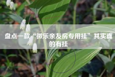 盘点一款“微乐亲友房专用挂	”其实真的有挂