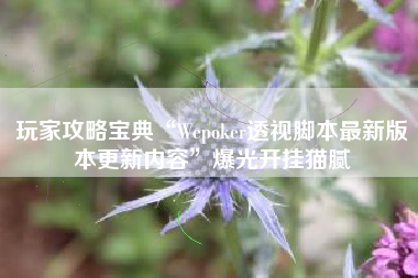 玩家攻略宝典“Wepoker透视脚本最新版本更新内容	”爆光开挂猫腻