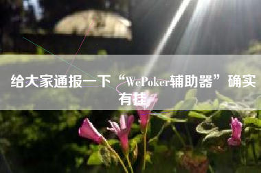 给大家通报一下“WePoker辅助器”确实有挂