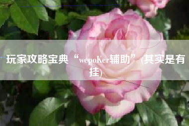 玩家攻略宝典“wepoKer辅助”(其实是有挂)