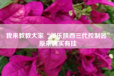 我来教教大家“微乐陕西三代控制器	”原来确实有挂