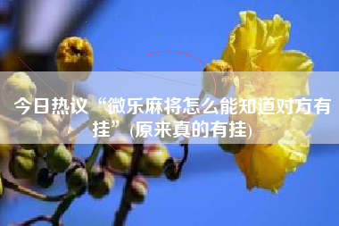 今日热议“微乐麻将怎么能知道对方有挂”(原来真的有挂)