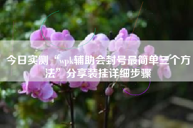 今日实测“wpk辅助会封号最简单三个方法”分享装挂详细步骤