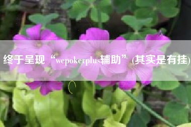 终于呈现“wepokerplus辅助	”(其实是有挂)