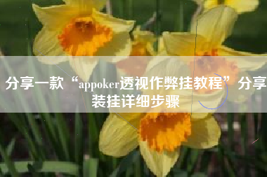 分享一款“appoker透视作弊挂教程	”分享装挂详细步骤
