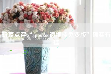 玩家点评“appoker透视挂免费版”确实有挂