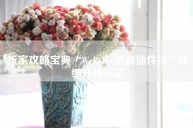 玩家攻略宝典“WePoker透视插件挂	”详细开挂玩法