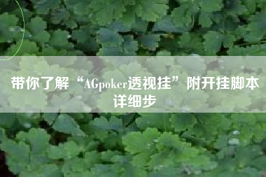 带你了解“AGpoker透视挂”附开挂脚本详细步