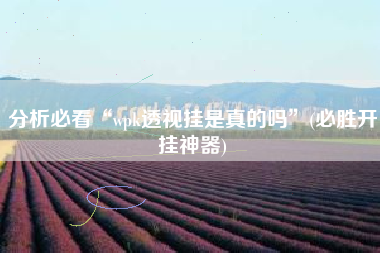 分析必看“wpk透视挂是真的吗”(必胜开挂神器)