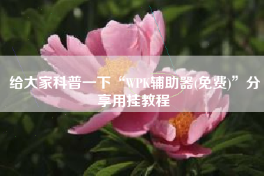 给大家科普一下“WPK辅助器(免费)	”分享用挂教程