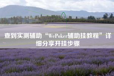 查到实测辅助“WePoker辅助挂教程”详细分享开挂步骤