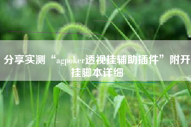 分享实测“agpoker透视挂辅助插件	”附开挂脚本详细