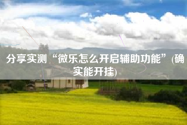 分享实测“微乐怎么开启辅助功能”(确实能开挂)