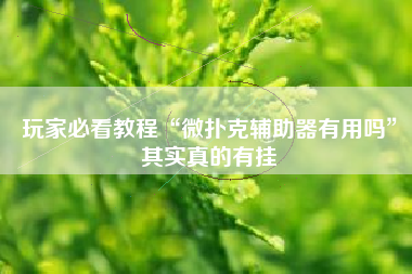 玩家必看教程“微扑克辅助器有用吗	”其实真的有挂