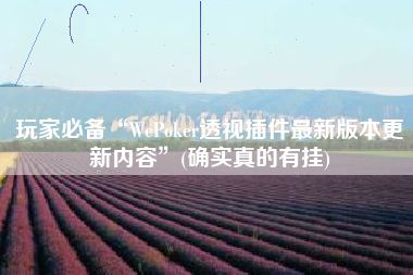 玩家必备“WePoker透视插件最新版本更新内容”(确实真的有挂)