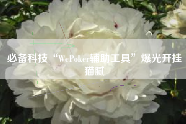 必备科技“WePoker辅助工具”爆光开挂猫腻