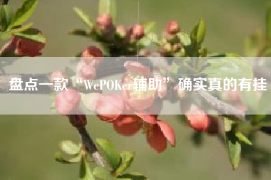 盘点一款“WePOKer辅助”确实真的有挂