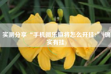 实测分享“手机微乐麻将怎么开挂?”(确实有挂)