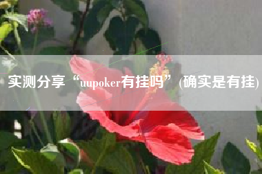 实测分享“uupoker有挂吗”(确实是有挂)