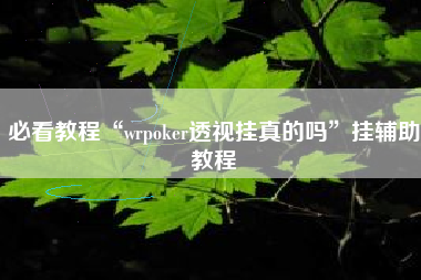 必看教程“wrpoker透视挂真的吗”挂辅助教程