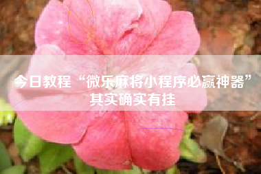 今日教程“微乐麻将小程序必赢神器”其实确实有挂