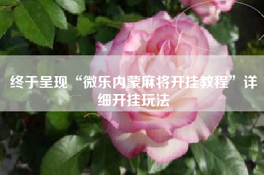 终于呈现“微乐内蒙麻将开挂教程”详细开挂玩法