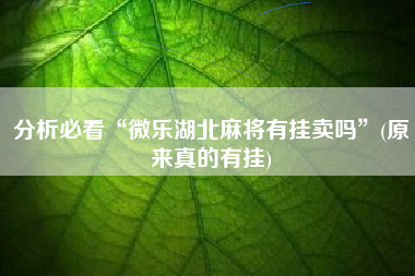 分析必看“微乐湖北麻将有挂卖吗”(原来真的有挂)