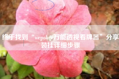 终于找到“wepoker万能透视看牌器	”分享装挂详细步骤
