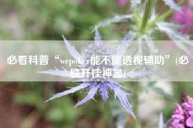 必看科普“wepoker能不能透视辅助	”(必胜开挂神器)
