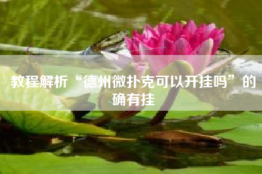 教程解析“德州微扑克可以开挂吗”的确有挂