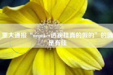 重大通报“wepoker透视挂真的假的”的确是有挂