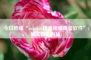 今日教程“wepoker挂透视辅助挂软件”(确实真的有挂)