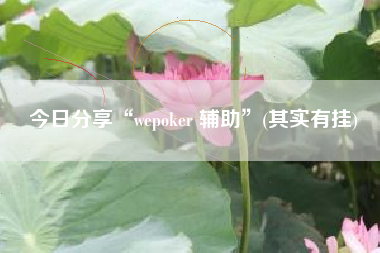 今日分享“wepoker 辅助	”(其实有挂)