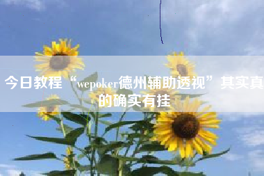今日教程“wepoker德州辅助透视”其实真的确实有挂