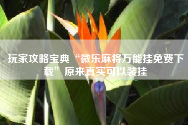 玩家攻略宝典“微乐麻将万能挂免费下载	”原来真实可以装挂