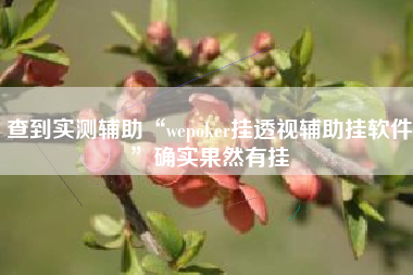 查到实测辅助“wepoker挂透视辅助挂软件”确实果然有挂