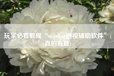 玩家必看教程“wepoker透视辅助软件	”(真的有挂)