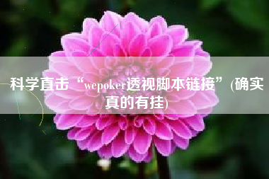 科学直击“wepoker透视脚本链接”(确实真的有挂)