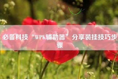 必备科技“WPK辅助器	”分享装挂技巧步骤