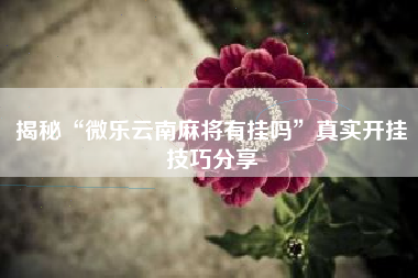 揭秘“微乐云南麻将有挂吗	”真实开挂技巧分享