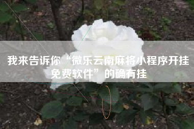 我来告诉你“微乐云南麻将小程序开挂免费软件	”的确有挂