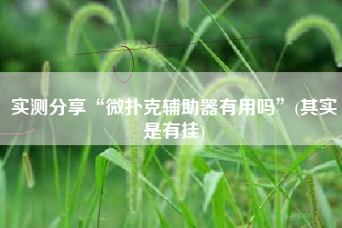 实测分享“微扑克辅助器有用吗”(其实是有挂)