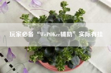 玩家必备“WePOKer辅助”实际有挂