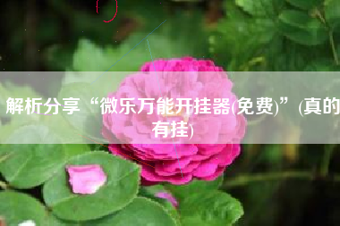 解析分享“微乐万能开挂器(免费)”(真的有挂)