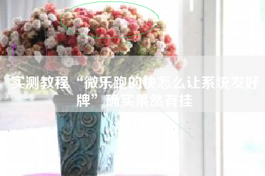 实测教程“微乐跑的快怎么让系统发好牌	”确实果然有挂