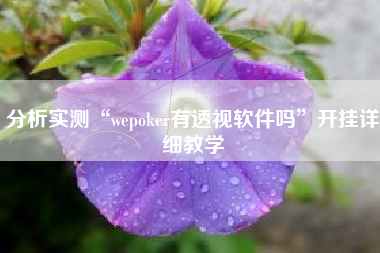 分析实测“wepoker有透视软件吗”开挂详细教学